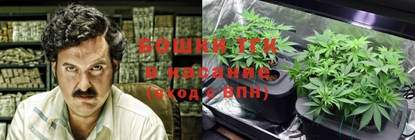 амф Алексин