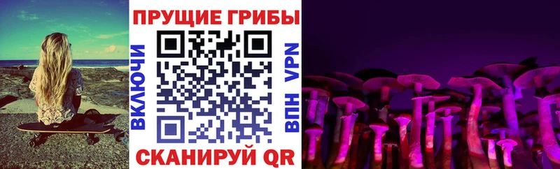 как найти   Прохладный  Псилоцибиновые грибы прущие грибы 