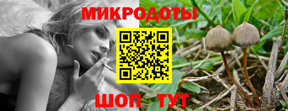 Псилоцибиновые грибы прущие грибы Прохладный