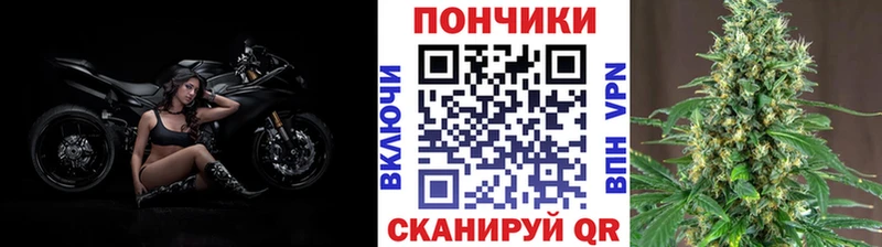 Шишки марихуана AK-47 Прохладный